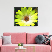 Afrikaanse Madelief Fluorescerend Geel Canvasprint Canvas Afdruk (Insitu (Woonkamer))