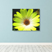 Afrikaanse Madelief Fluorescerend Geel Canvasprint Canvas Afdruk (Insitu (Houten vloer))