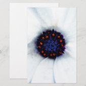Afrikaanse Madeliefje Bloem Briefpapier (Voorkant / Achterkant)