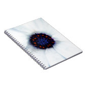 Afrikaanse Madeliefje Bloem Notitieboek (Rechterzijde)