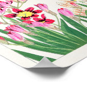 Afrikaanse maïslelly, Tanigami Konan Poster (Hoek)