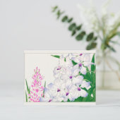 Afrikaanse maïslelly, Vanda coerulea, Tanigami Kon Briefkaart (Staand voorkant)