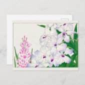 Afrikaanse maïslelly, Vanda coerulea, Tanigami Kon Briefkaart (Voorkant / Achterkant)