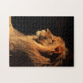 Afrikaanse Mannelijke Leeuw; Wilde puzzels door St (Horizontaal)