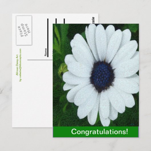 Afrikaanse Marguerite Briefkaart (Voorkant / Achterkant)