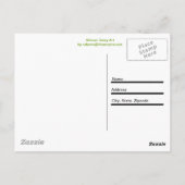 Afrikaanse Marguerite Briefkaart (Achterkant)