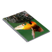 Afrikaanse maskers (Ploceus Velatus) Notitieboek (Rechterzijde)