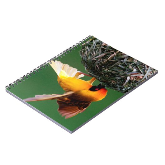 Afrikaanse maskers (Ploceus Velatus) Notitieboek (Linkerzijde)