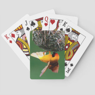 Afrikaanse maskers (Ploceus Velatus) Speelkaarten