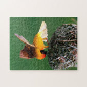 Afrikaanse Maskerwever (Ploceus Velatus) Legpuzzel (Horizontaal)