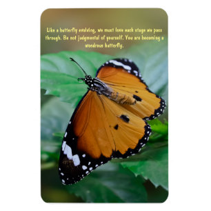 Afrikaanse monarch vlinder inspiratie citaat magneet