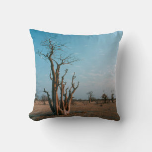 Afrikaanse Moringo-boom op vlakte, Etosha National Kussen