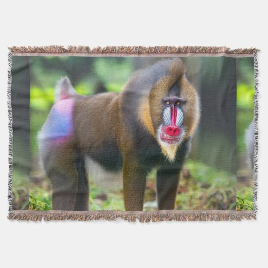 Afrikaanse natuur deken (Voorkant)