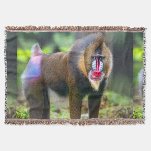 Afrikaanse natuur deken