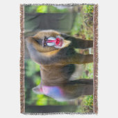 Afrikaanse natuur deken