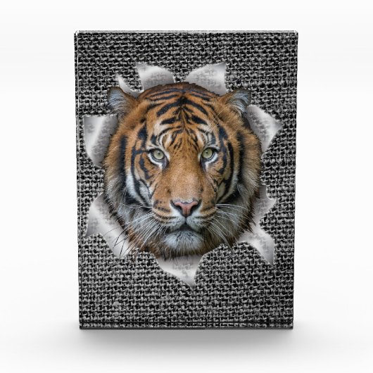 Afrikaanse of Indiase Wildlife Joke Fotoblokken (Voorkant)
