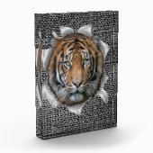 Afrikaanse of Indiase Wildlife Joke Fotoblokken (Links)