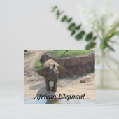 Afrikaanse olifant # 6 briefkaart (Staand voorkant)
