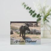 Afrikaanse olifant # 7 briefkaart (Staand voorkant)