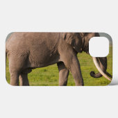 Afrikaanse olifant, beschermingsgebied Ngorongoro Case-Mate iPhone Case (Achterkant (horizontaal))