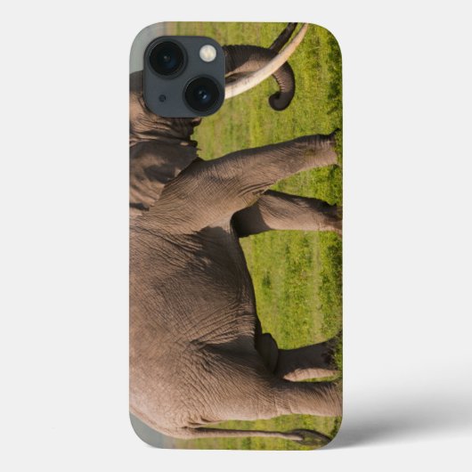 Afrikaanse olifant, beschermingsgebied Ngorongoro Case-Mate iPhone Case (Achterkant)