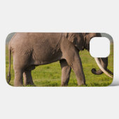 Afrikaanse olifant, beschermingsgebied Ngorongoro Case-Mate iPhone Case (Achterkant (horizontaal))