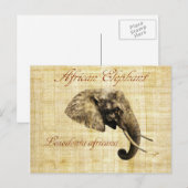 Afrikaanse olifant briefkaart (Voorkant / Achterkant)