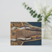 Afrikaanse olifant briefkaart (Staand voorkant)