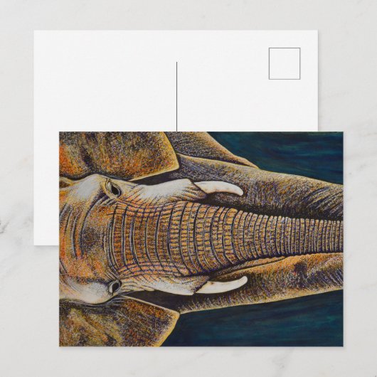 Afrikaanse olifant briefkaart (Voorkant / Achterkant)