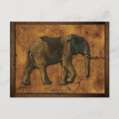 Afrikaanse olifant Briefkaarten (Voorkant)