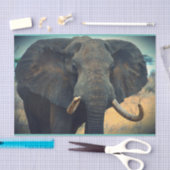 Afrikaanse olifant dicht tissuepapier (Craft)