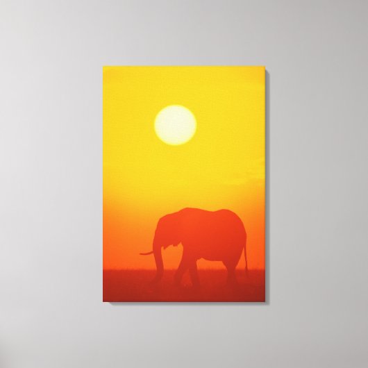 Afrikaanse olifant die op zonsondergang loopt, Ken Canvas Afdruk (Voorkant)