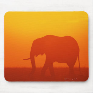 Afrikaanse olifant die tegen zonsondergang loopt,  muismat
