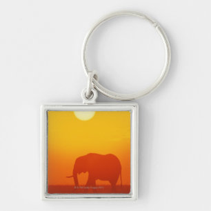 Afrikaanse olifant die tegen zonsondergang loopt, sleutelhanger