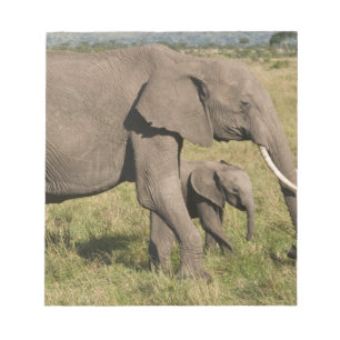 Afrikaanse Olifant en jong (Loxodonta africana), Notitieblok