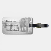 Afrikaanse olifant en kalveren | Kenia, Afrika Bagagelabel (Achterkant horizontaal)