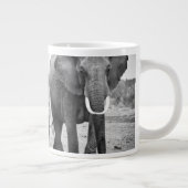 Afrikaanse olifant en kalveren | Kenia, Afrika Grote Koffiekop (Rechts)