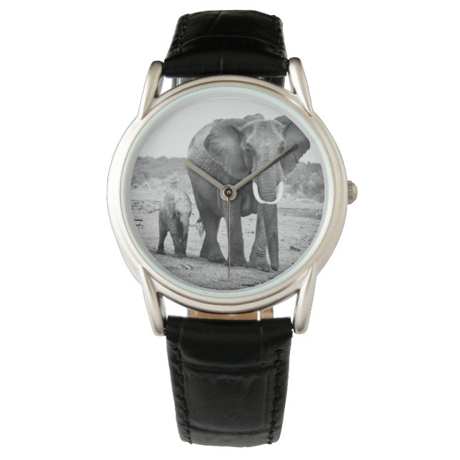 Afrikaanse olifant en kalveren | Kenia, Afrika Horloge (Voorkant)