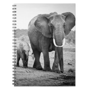 Afrikaanse olifant en kalveren Kenia, Afrika Notitieboek