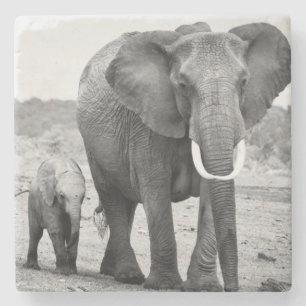 Afrikaanse olifant en kalveren Kenia, Afrika Stenen Onderzetter