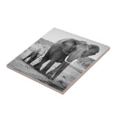 Afrikaanse olifant en kalveren | Kenia, Afrika Tegeltje (Zijkant)