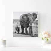 Afrikaanse olifant en kalveren | Kenia, Afrika Vierkante Klok (Huis)