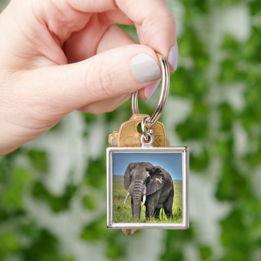 Afrikaanse olifant en Savannah Grasses Sleutelhanger (Hand)