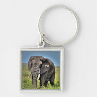 Afrikaanse olifant en Savannah Grasses Sleutelhanger