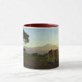 Afrikaanse olifant en savanne mok (Midden)