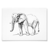 Afrikaanse olifant foto afdruk (Voorkant)