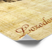 Afrikaanse olifant (geen lijst) poster (Hoek)