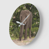 Afrikaanse olifant grote klok (Hoek)