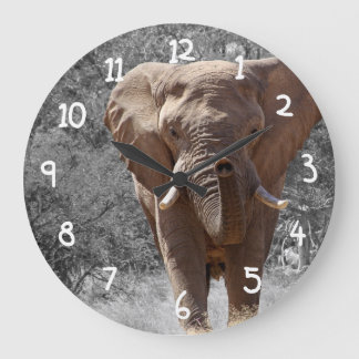 Afrikaanse olifant grote klok