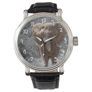Afrikaanse olifant horloge